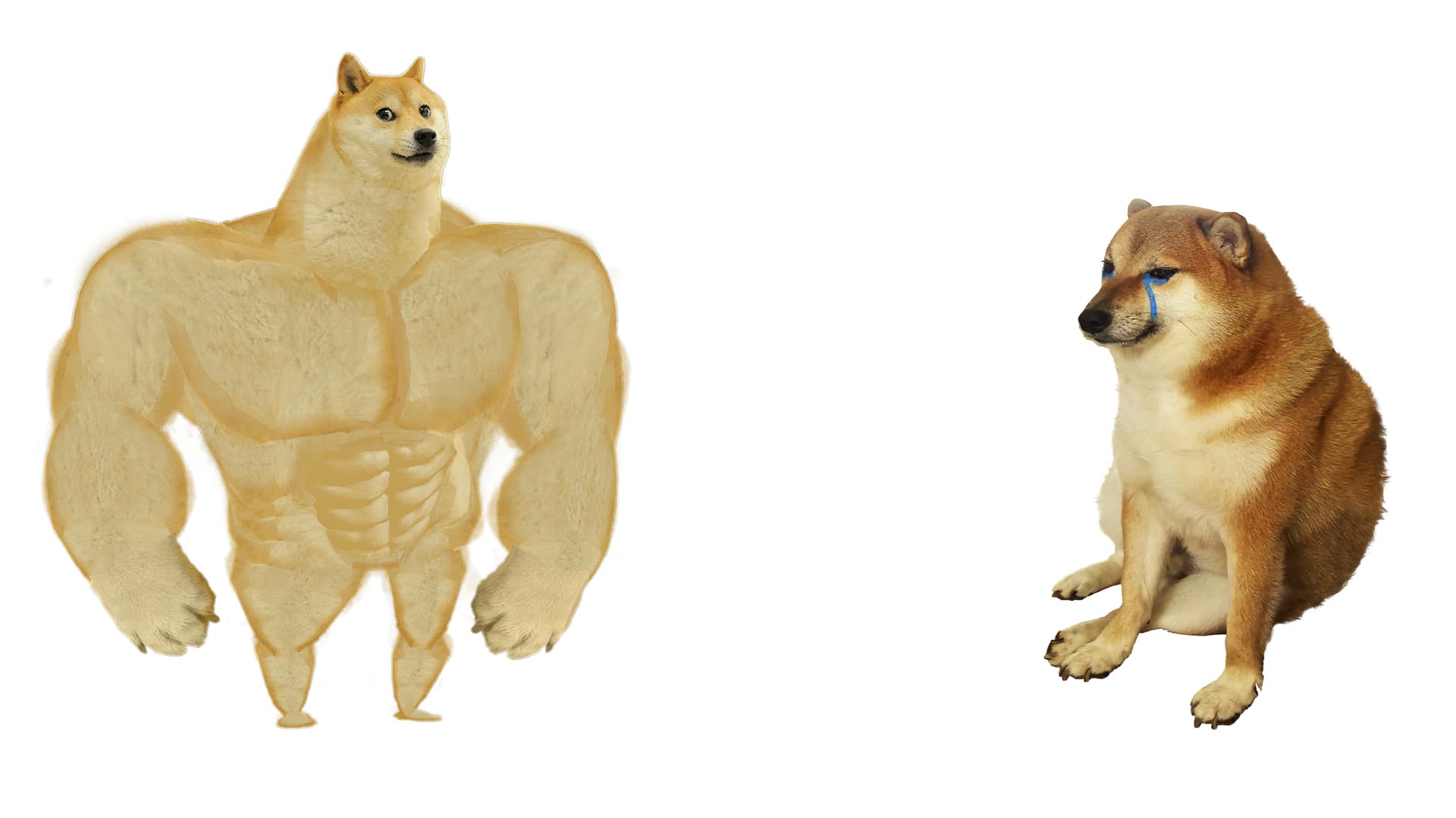 Swole Doge vs Cheems